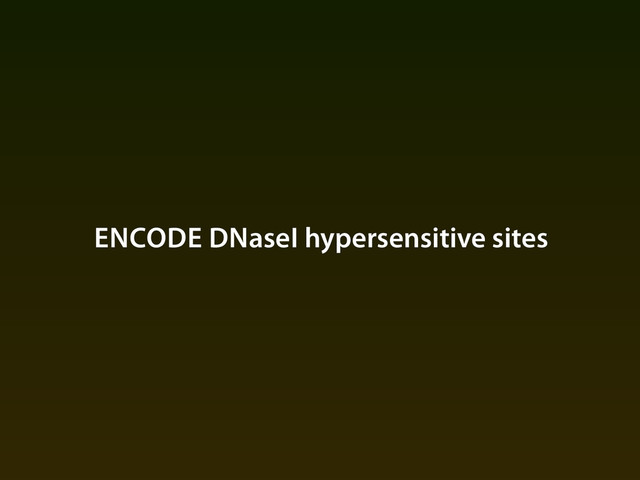 ENCODE DNaseI hypersensitive sites
