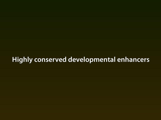 Highly conserved developmental enhancers
