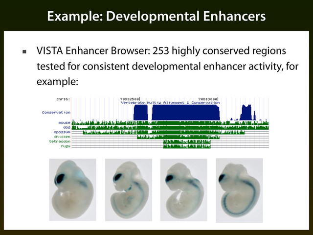 Example: Developmental Enhancers
■ VISTA Enhancer Browser: 253 highly conserved regions
tested for consistent developmental enhancer activity, for
example:
