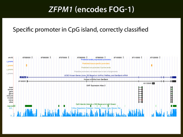 ZFPM1 (encodes FOG-1)
chr16:
ubiq_proms
spec_proms
neg_proms
na_proms
brain
cancer
germ
gland
immune
muscle
nerve
other
CpG Islands
87050000 87060000 87070000 87080000 87090000 87100000 87110000 87120000
Predicted widely expressed promoters
Predicted tissue specific promoters
Predicted non-promoter 5-prime ends
Possible promoters not tested due to lack of alignments
UCSC Known Genes (June, 05) Based on UniProt, RefSeq, and GenBank mRNA
Human mRNAs from GenBank
GNF Expression Atlas 2
CpG Islands (Islands < 300 Bases are Light Green)
5-Way Regulatory Potential - Human, Chimp, Dog, Mouse, Rat
ZFPM1
AF488691
AK130845
0.2 _
0 _
Figure ⌧.⇢: UCSC genome browser snapshot of promoter predictions in the neighborhood of ZFPM⇧.
Specific promoter in CpG island, correctly classified
