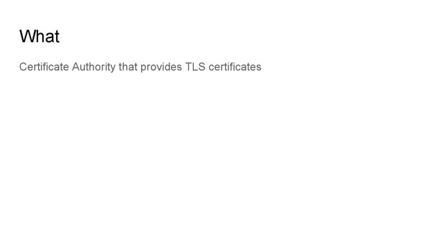 What
Certificate Authority that provides TLS certificates
