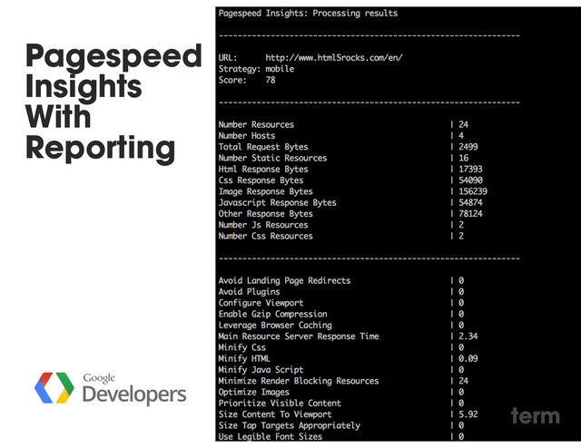 Pagespeed
Insights
With
Reporting
term
