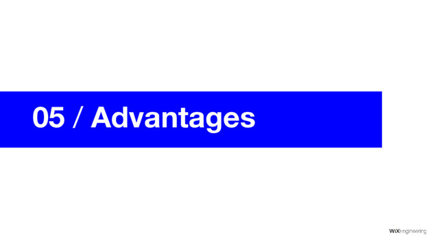 05 / Advantages
