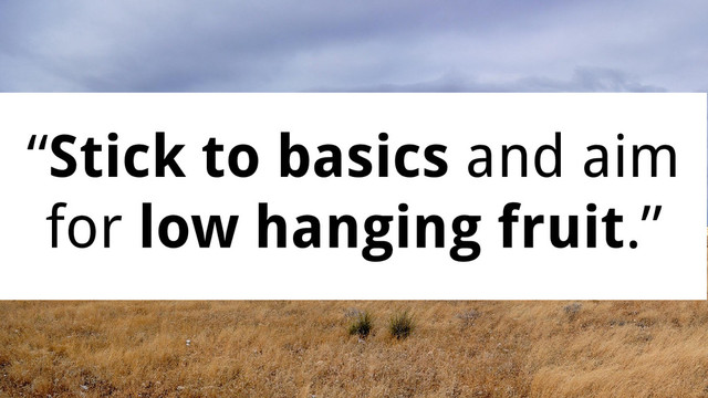 “Stick to basics and aim
for low hanging fruit.”

