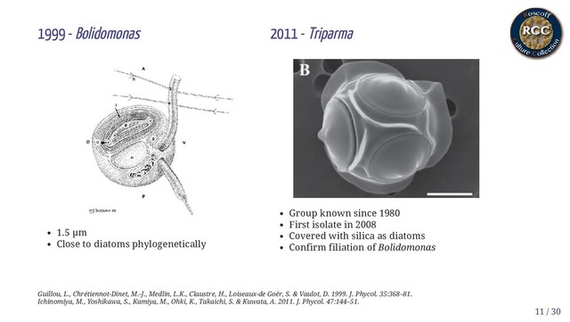 1999 - Bolidomonas
1.5 µm
Close to diatoms phylogenetically
2011 - Triparma
Group known since 1980
First isolate in 2008
Covered with silica as diatoms
Confirm filiation of Bolidomonas
Guillou, L., Chrétiennot-Dinet, M.-J., Medlin, L.K., Claustre, H., Loiseaux-de Goër, S. & Vaulot, D. 1999. J. Phycol. 35:368–81.
Ichinomiya, M., Yoshikawa, S., Kamiya, M., Ohki, K., Takaichi, S. & Kuwata, A. 2011. J. Phycol. 47:144–51.
11 / 30
