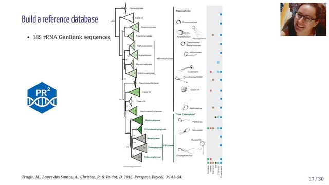 Build a reference database
18S rRNA GenBank sequences
Tragin, M., Lopes dos Santos, A., Christen, R. & Vaulot, D. 2016. Perspect. Phycol. 3:141–54. 17 / 30
