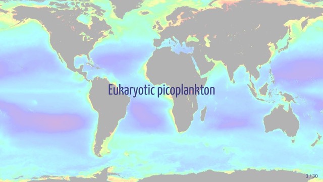 Eukaryotic picoplankton
3 / 30
