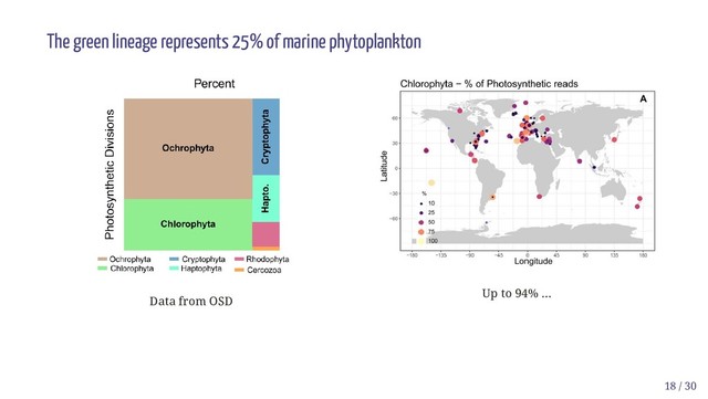 Data from OSD
Up to 94% ...
The green lineage represents 25% of marine phytoplankton
18 / 30
