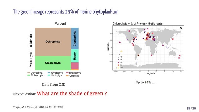 Data from OSD
Up to 94% ...
The green lineage represents 25% of marine phytoplankton
Next question: What are the shade of green ?
Tragin, M. & Vaulot, D. 2018. Sci. Rep. 8:14020. 18 / 30
