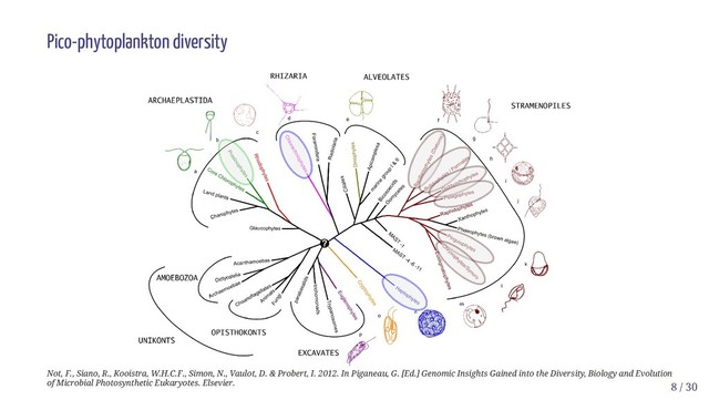 Pico-phytoplankton diversity
Not, F., Siano, R., Kooistra, W.H.C.F., Simon, N., Vaulot, D. & Probert, I. 2012. In Piganeau, G. [Ed.] Genomic Insights Gained into the Diversity, Biology and Evolution
of Microbial Photosynthetic Eukaryotes. Elsevier. 8 / 30
