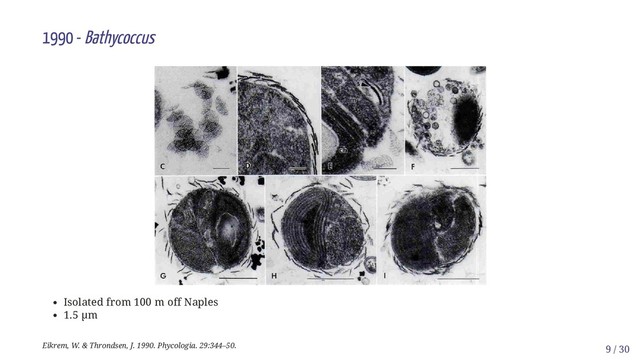 1990 - Bathycoccus
Isolated from 100 m off Naples
1.5 µm
Eikrem, W. & Throndsen, J. 1990. Phycologia. 29:344–50. 9 / 30
