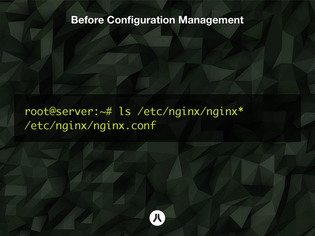 Before Conﬁguration Management
root@server:~# ls /etc/nginx/nginx*
/etc/nginx/nginx.conf
