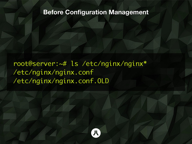 Before Conﬁguration Management
root@server:~# ls /etc/nginx/nginx*
/etc/nginx/nginx.conf
/etc/nginx/nginx.conf.OLD
