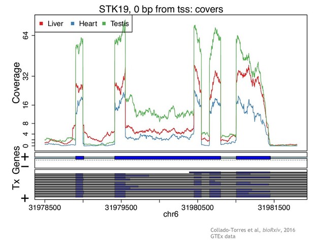 Collado-Torres et al, bioRxiv, 2016
GTEx data
0 4 8 16 32 64
Liver Heart Testis
Coverage
STK19, 0 bp from tss: covers
−
+
Genes
31978500 31979500 31980500 31981500
+
Tx
chr6
