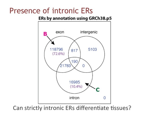 Presence of intronic ERs
Can strictly intronic ERs diﬀeren6ate 6ssues?
