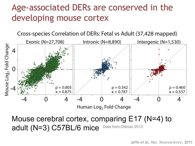Age-associated DERs are conserved in the
developing mouse cortex
Mouse cerebral cortex, comparing E17 (N=4) to
adult (N=3) C57BL/6 mice Data from Dillman 2013
Jaffe et al, Nat. Neuroscience, 2015
