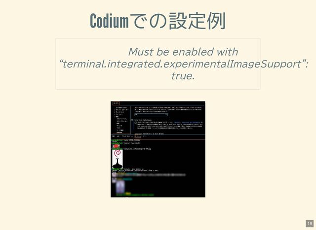 Codiumでの設定例
Must be enabled with
“terminal.integrated.experimentalImageSupport”:
true.
19

