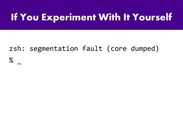If You Experiment With It Yourself
zsh: segmentation fault (core dumped)
% _
