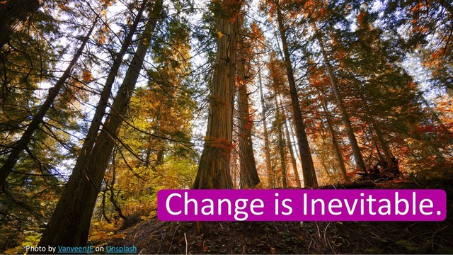Change is Inevitable.
Photo by VanveenJF on Unsplash
