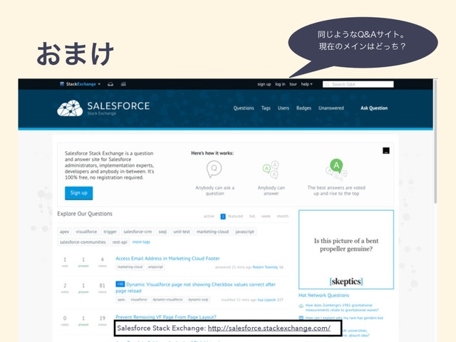 ͓·͚
Salesforce Stack Exchange: http://salesforce.stackexchange.com/
ಉ͡Α͏ͳ2"αΠτɻ
ݱࡏͷϝΠϯ͸Ͳͬͪʁ

