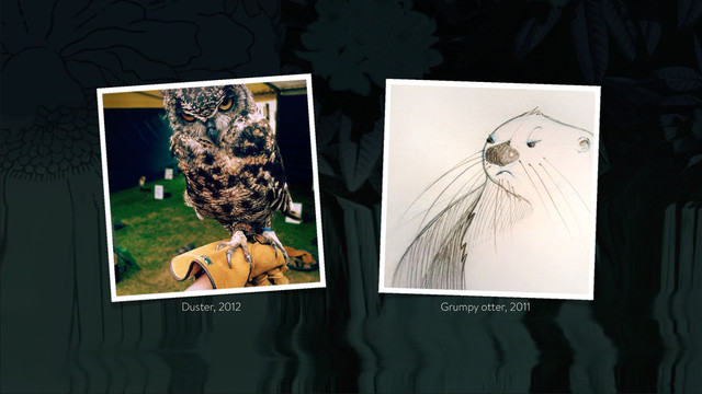 Grumpy otter, 2011
Duster, 2012
