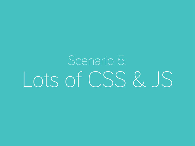 Scenario 5:
Lots of CSS & JS

