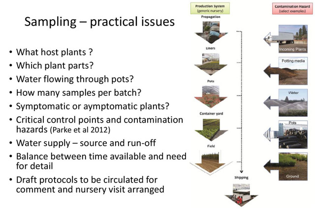 Sampling – practical issues
• What host plants ?
• Which plant parts?
• Water flowing through pots?
• How many samples per batch?
• Symptomatic or aymptomatic plants?
• Critical control points and contamination
hazards (Parke et al 2012)
• Water supply – source and run-off
• Balance between time available and need
for detail
• Draft protocols to be circulated for
comment and nursery visit arranged
