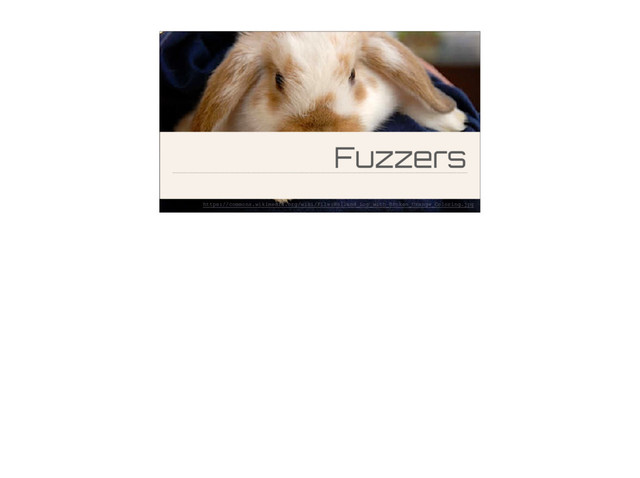 Fuzzers
https://commons.wikimedia.org/wiki/File:Holland_Lop_with_Broken_Orange_Coloring.jpg
