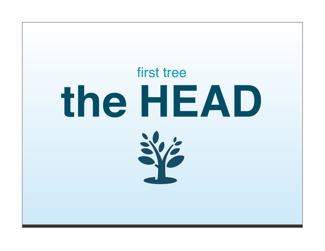 ﬁrst tree
the HEAD
