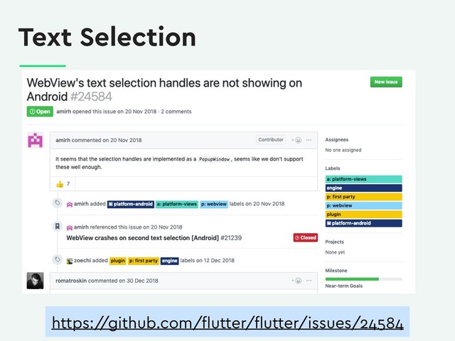 Text Selection
https:/
/github.com/ﬂutter/ﬂutter/issues/24584
