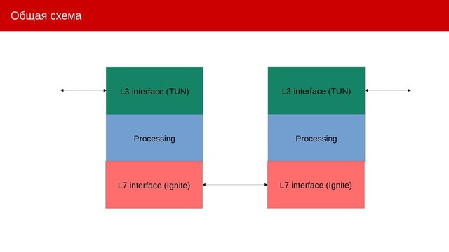 Общая схема
L3 interface (TUN)
Processing
L7 interface (Ignite)
L3 interface (TUN)
Processing
L7 interface (Ignite)
