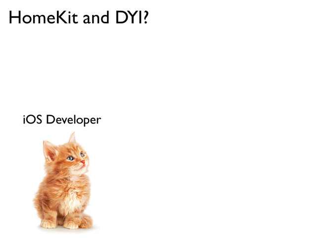 iOS Developer
HomeKit and DYI?
