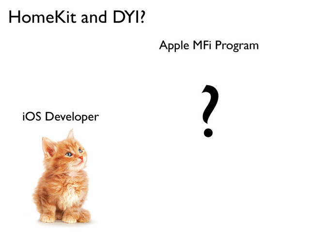 iOS Developer
HomeKit and DYI?
Apple MFi Program
?
