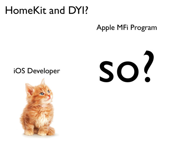 iOS Developer
HomeKit and DYI?
Apple MFi Program
so?
