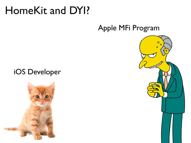 Apple MFi Program
HomeKit and DYI?
iOS Developer
