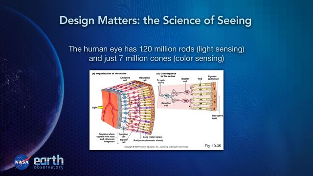 The human eye has 120 million rods (light sensing)

and just 7 million cones (color sensing)
Design Matters: the Science of Seeing
