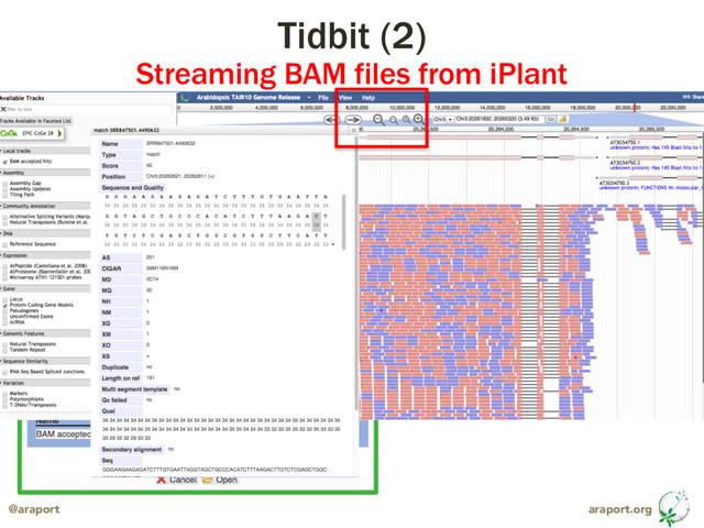 araport.org
@araport
Tidbit (2)
Streaming BAM files from iPlant
