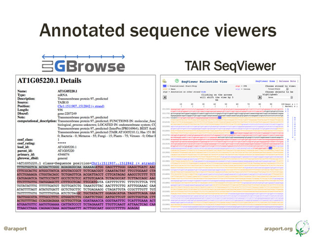 araport.org
@araport
Annotated sequence viewers
TAIR SeqViewer

