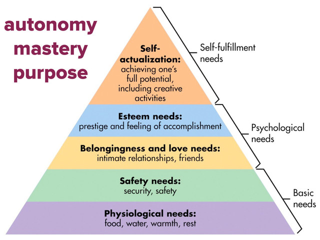autonomy
mastery
purpose
