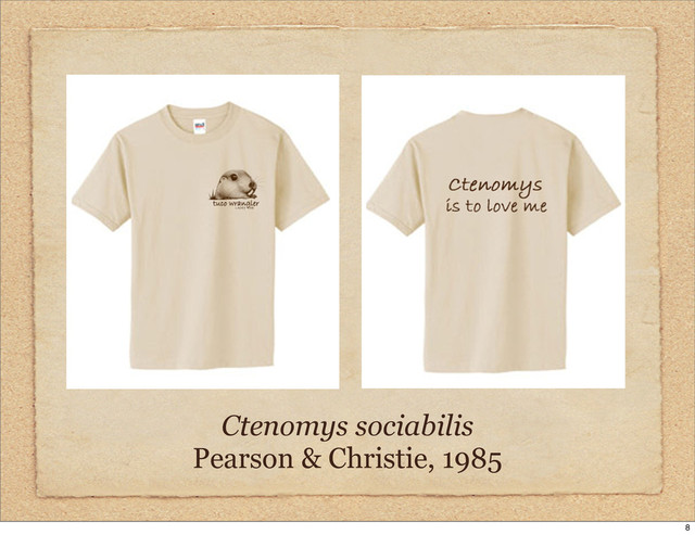 Ctenomys sociabilis
Pearson & Christie, 1985
8
