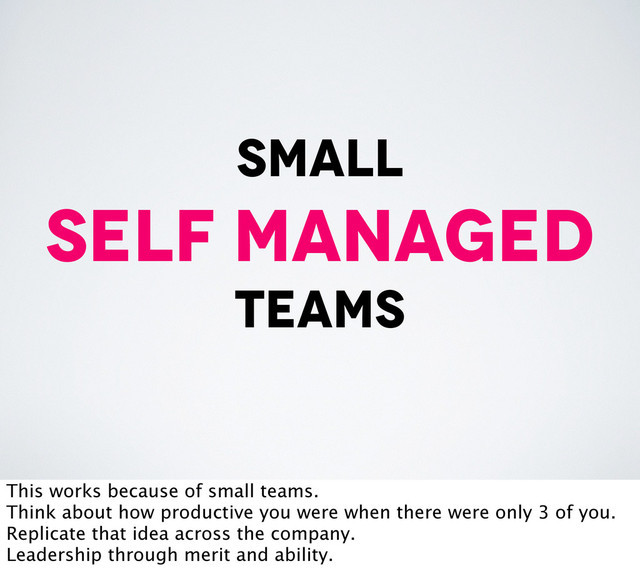 small
self managed
teams
This works because of small teams.
Think about how productive you were when there were only 3 of you.
Replicate that idea across the company.
Leadership through merit and ability.

