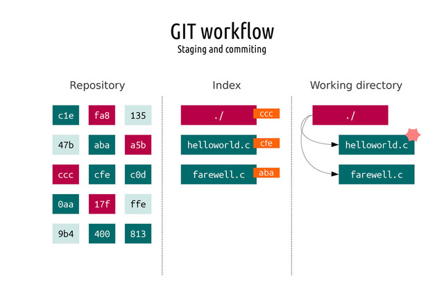 GIT workflow
Staging and commiting
Repository Index Working directory
./
helloworld.c
farewell.c
ccc
cfe
aba
./
helloworld.c
farewell.c
c1e fa8 135
47b aba a5b
ccc cfe c0d
0aa 17f ffe
9b4 400 813
