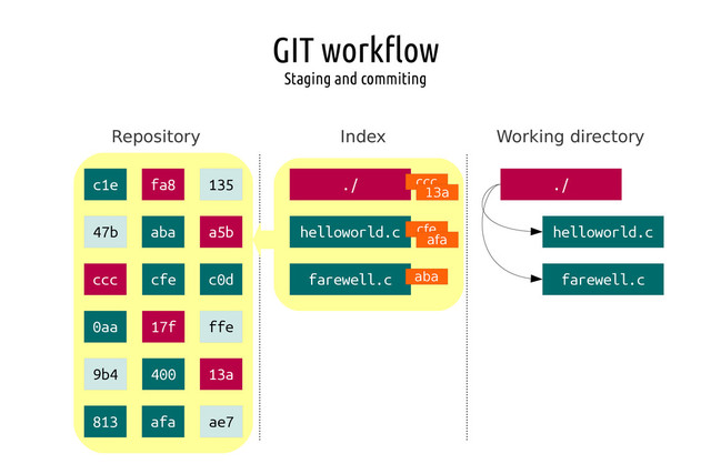 GIT workflow
Staging and commiting
Repository Index Working directory
./
helloworld.c
farewell.c
ccc
cfe
aba
./
helloworld.c
farewell.c
afa
13a
c1e fa8 135
47b aba a5b
ccc cfe c0d
0aa 17f ffe
9b4 400 13a
813 afa ae7
