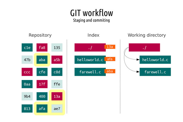 GIT workflow
Staging and commiting
Repository Index Working directory
c1e fa8 135
47b aba a5b
ccc cfe c0d
0aa 17f ffe
9b4 400 13a
813 afa ae7
./
helloworld.c
farewell.c
13a
afa
aba
./
helloworld.c
farewell.c
