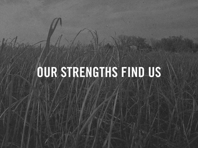 OUR STRENGTHS FIND US
