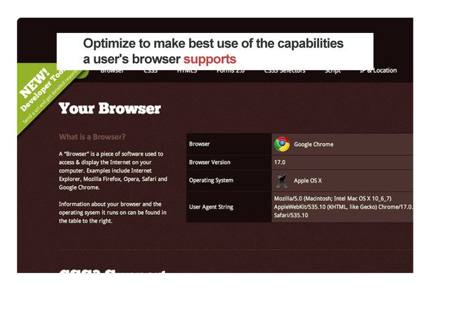 Optimize to make best use of the capabilities
a user's browser supports
