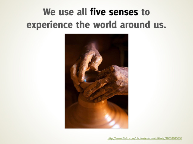 http://www.flickr.com/photos/yours-intuitively/4063292553/
We use all five senses to
experience the world around us.
