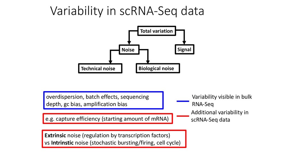 sonority sequencing principle