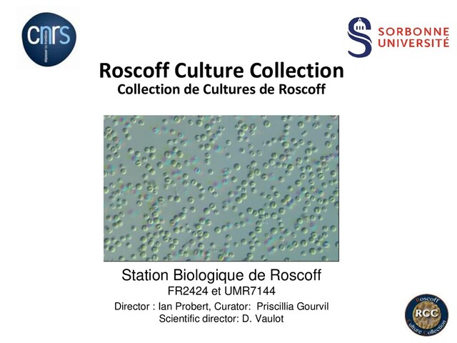 Roscoff Culture Collection
Collection de Cultures de Roscoff
Station Biologique de Roscoff
FR2424 et UMR7144
Director : Ian Probert, Curator: Priscillia Gourvil
Scientific director: D. Vaulot
