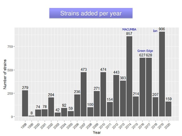 Strains added per year
Green Edge
MACUMBA Ian
